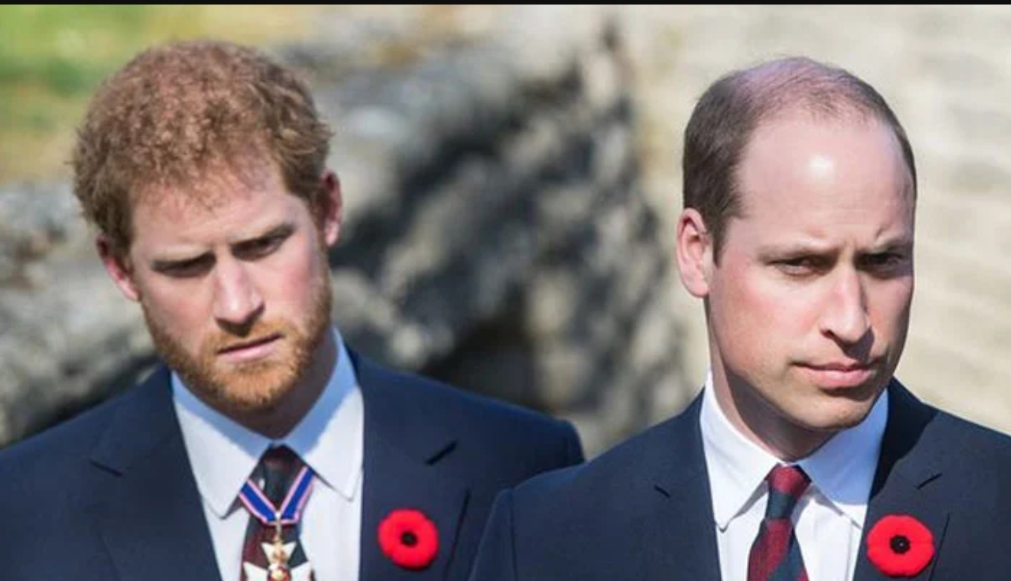 Screenshot_20251201-133200_Opera Mini