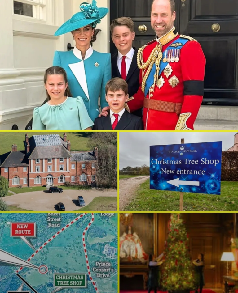 Screenshot_20251201-143757_Lite