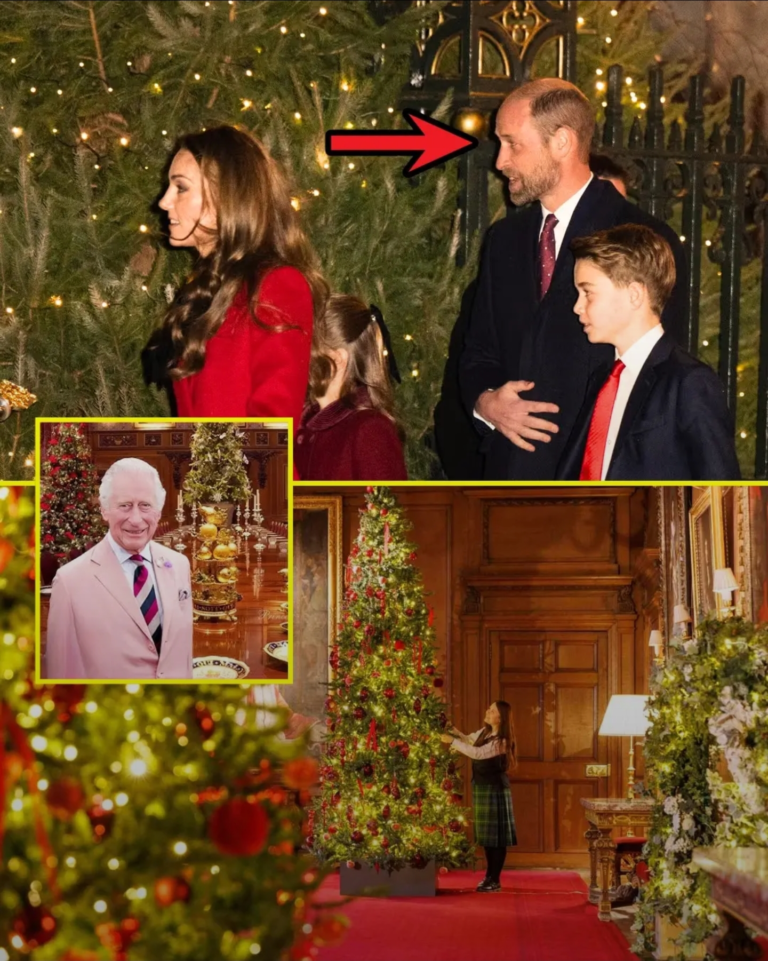 Screenshot_20251202-110850_Lite