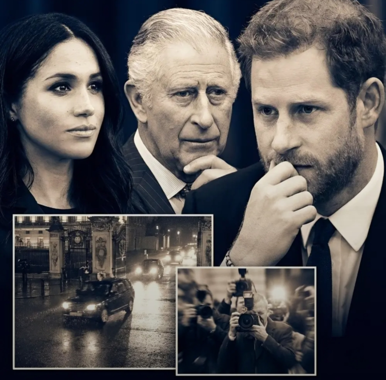 Screenshot_20251205-113646_Lite