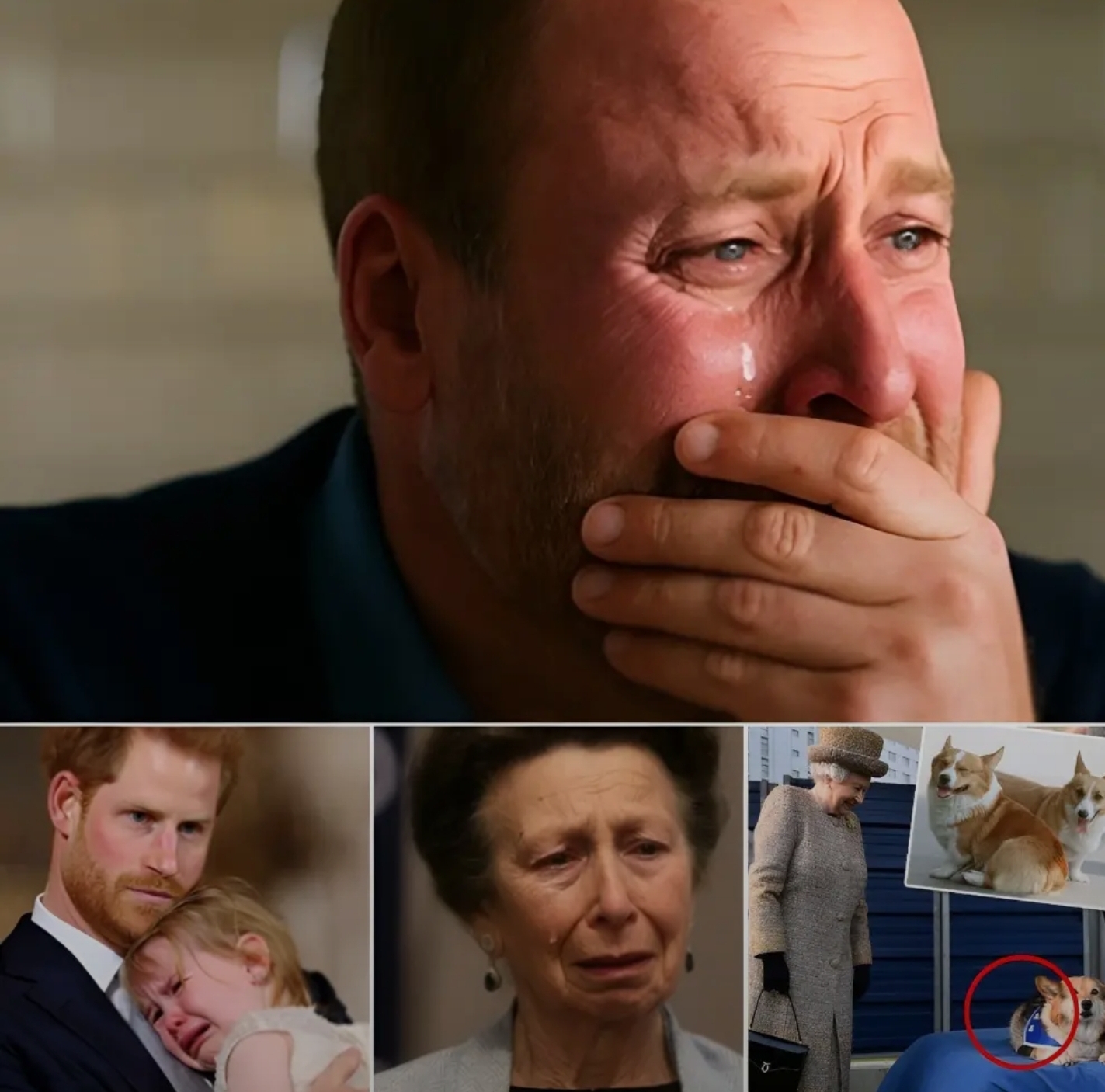 Screenshot_20251208-085612_Lite