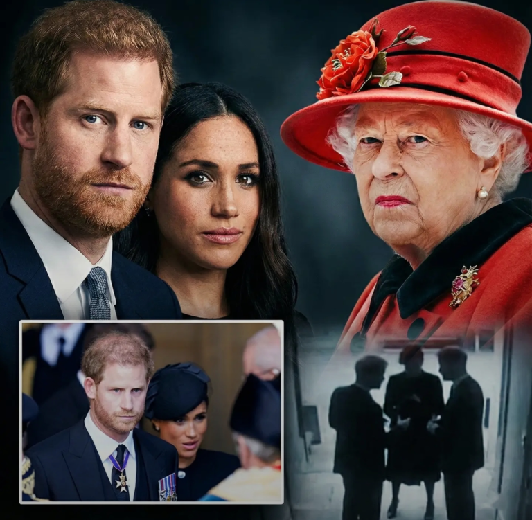 Screenshot_20251209-152505_Lite