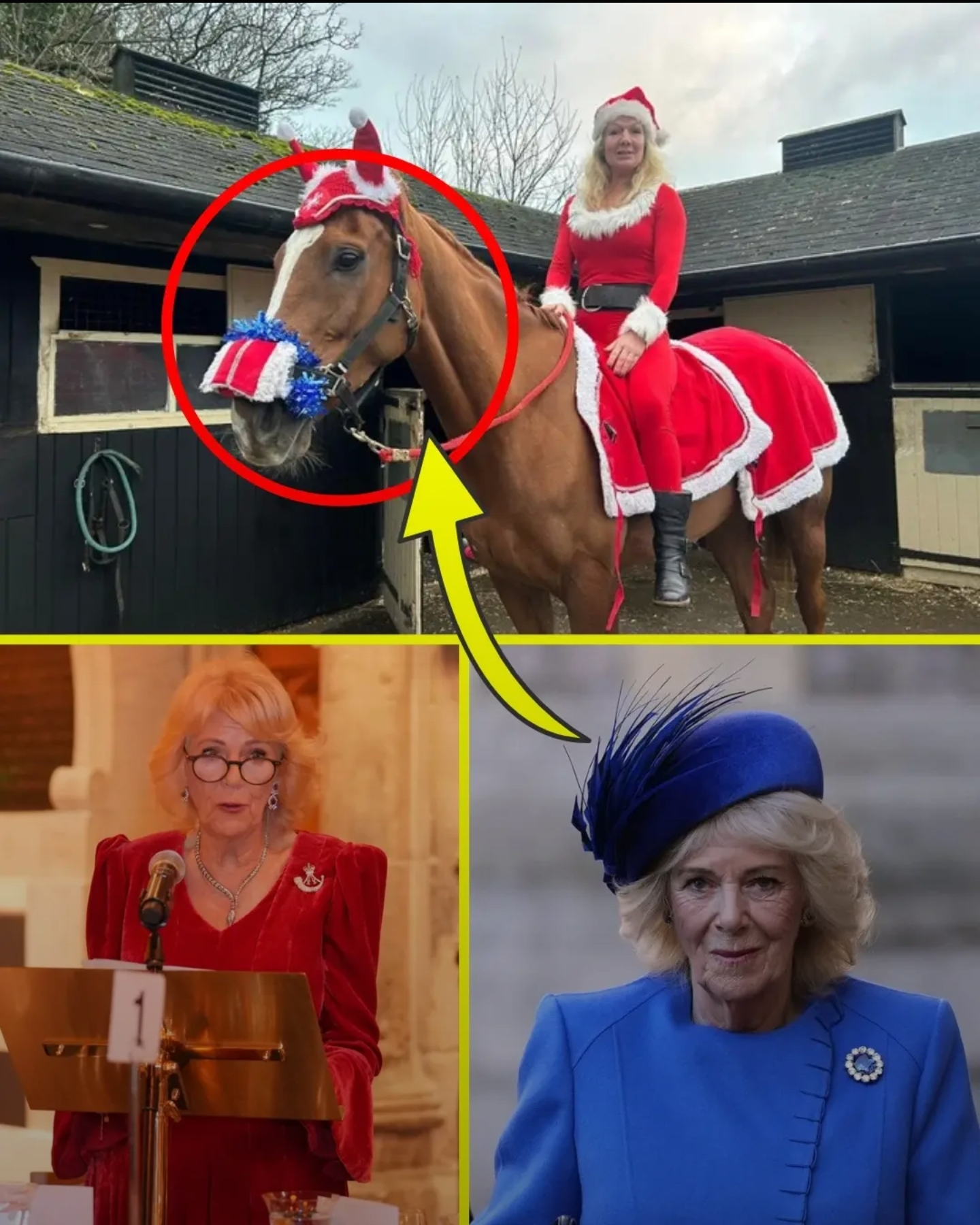 Screenshot_20251209-191843_Lite