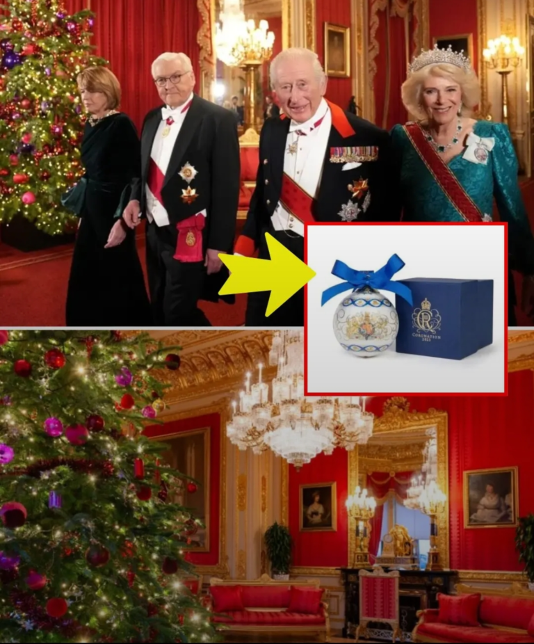 Screenshot_20251210-093050_Lite