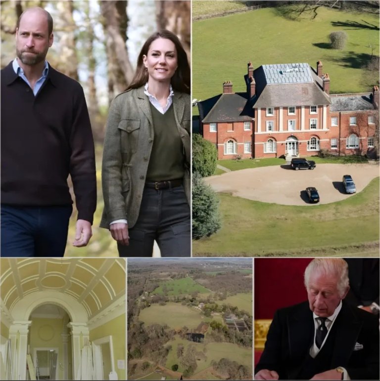 Screenshot_20251212-135324_Lite