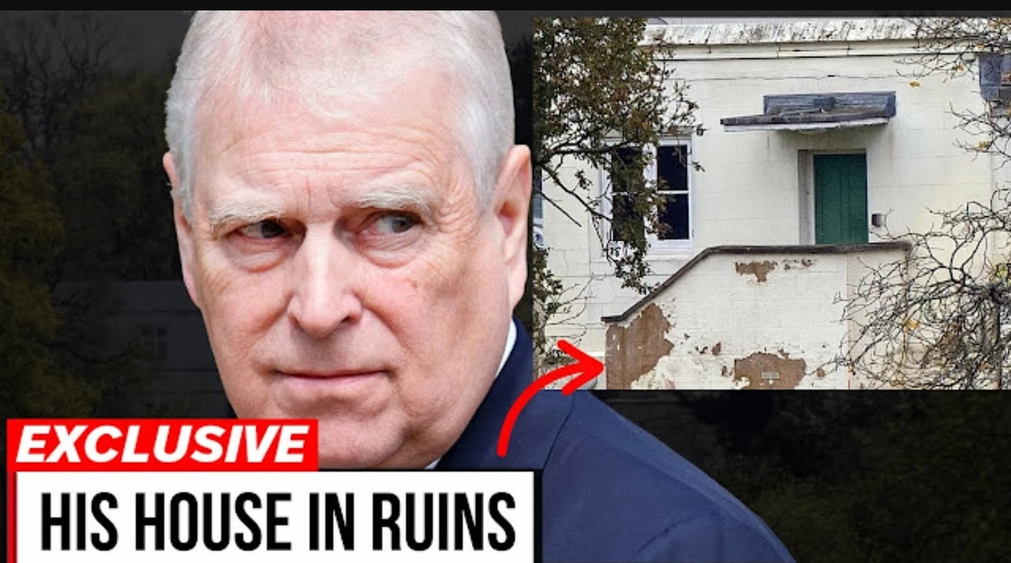 Screenshot_20251212-191030_Opera Mini