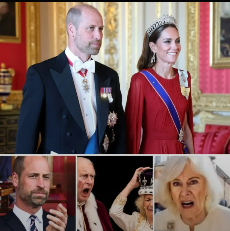 Screenshot_20251213-081608_Lite