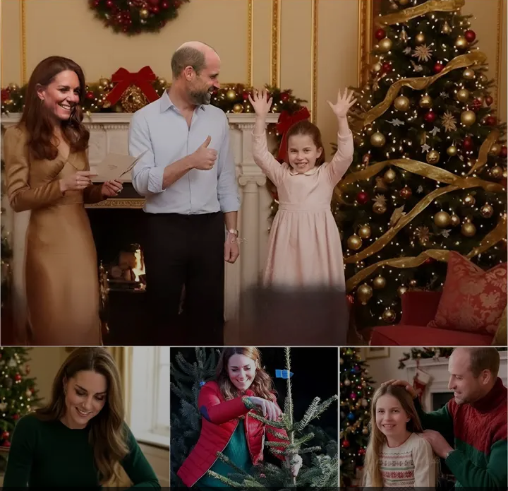 Screenshot_20251226-173337~2