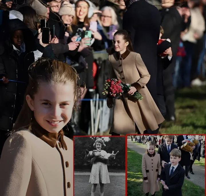 Screenshot_20251227-172352~2