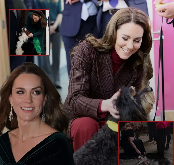 Screenshot_20251227-173212~2