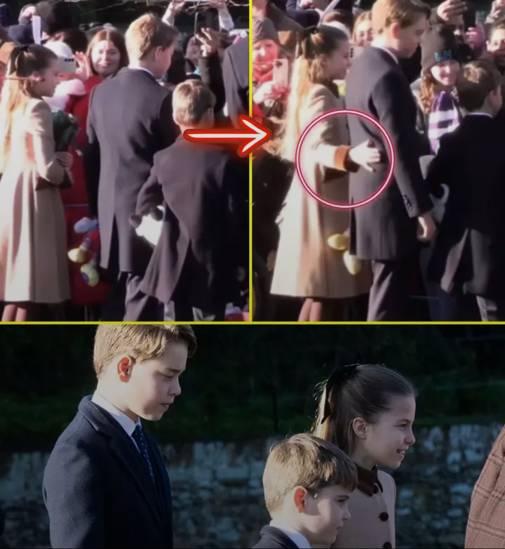 Screenshot_20251228-125929~2