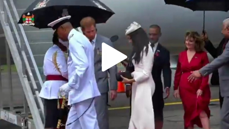 inshot_20251201_1017425762060336405811164360