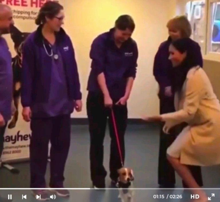 inshot_20251210_1847022472386332037165546306