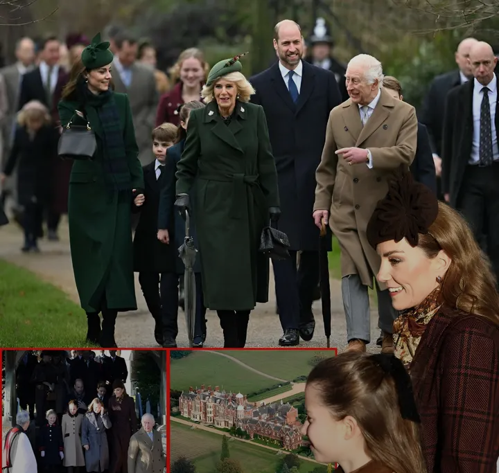 Screenshot_20260105-051221~2