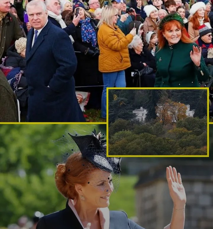 Screenshot_20260110-071211~2