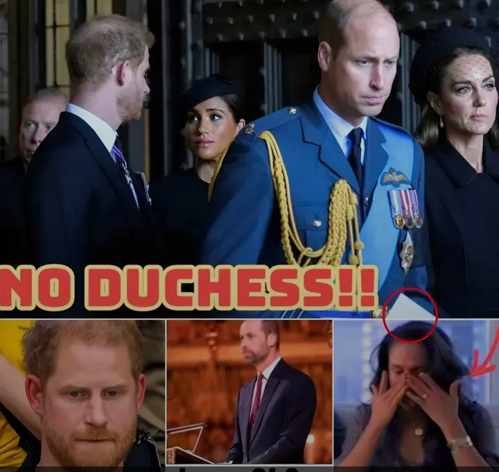 Screenshot_20260110-195446~2