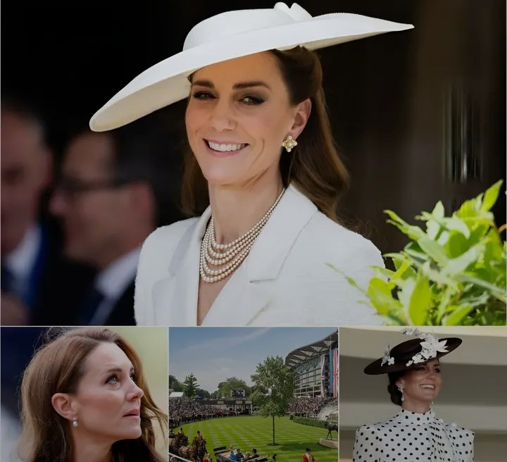 Screenshot_20260112-104750~2