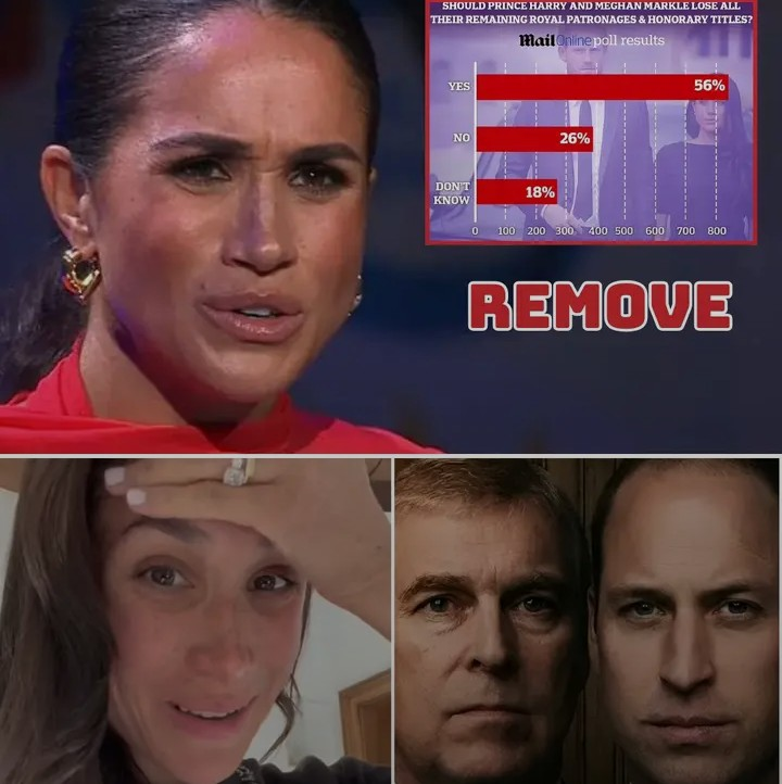 Screenshot_20260112-230525~2