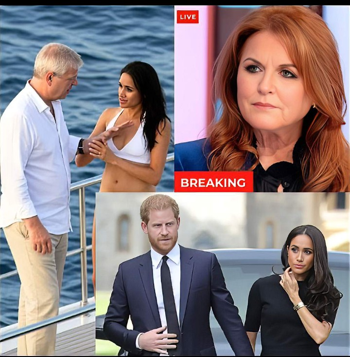 Screenshot_20260116-170446~2