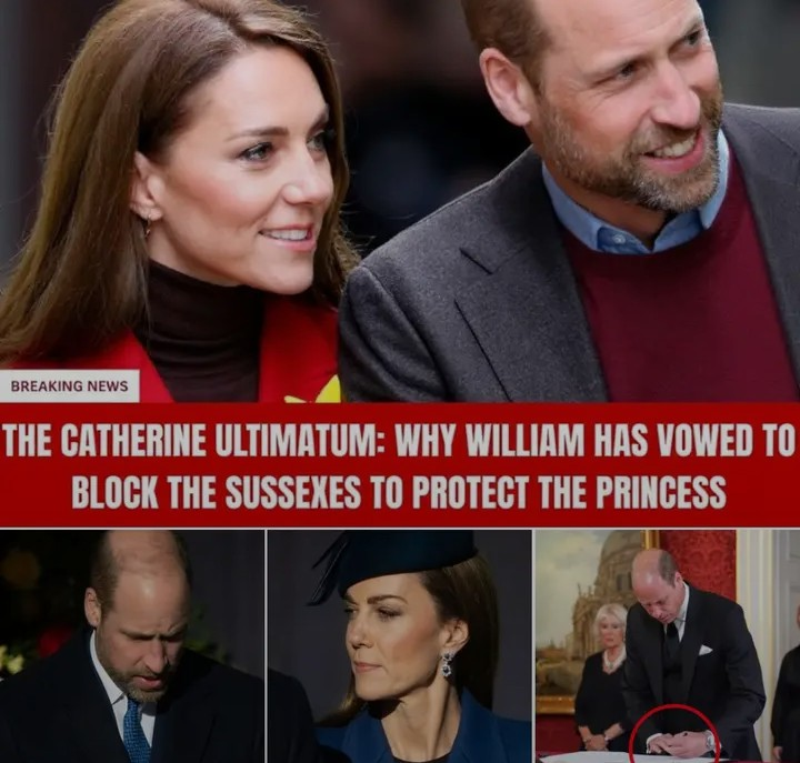 Screenshot_20260122-132621~2