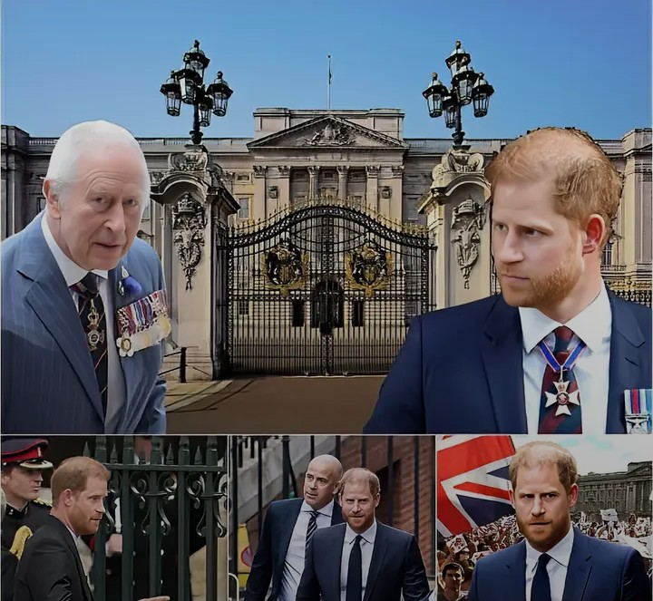 Screenshot_20260124-082051~2