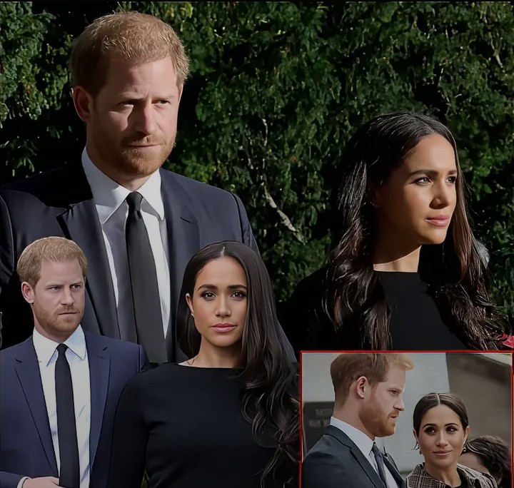 Screenshot_20260124-113050~2