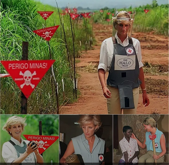 Screenshot_20260125-080440~2