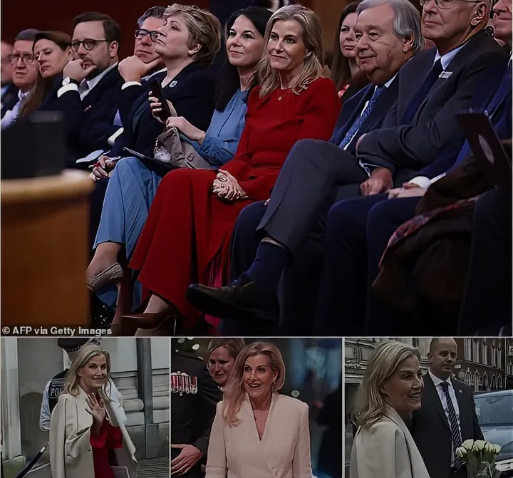 Screenshot_20260125-113048~2