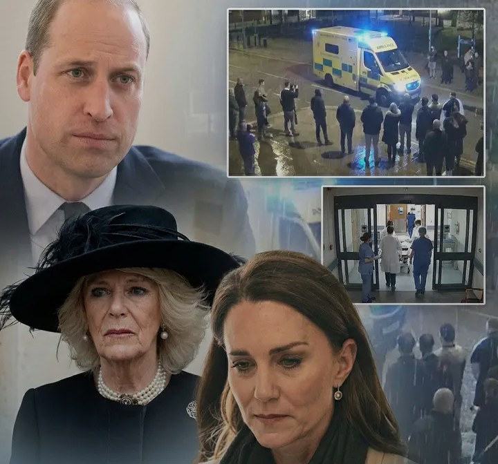 Screenshot_20260126-032135~2