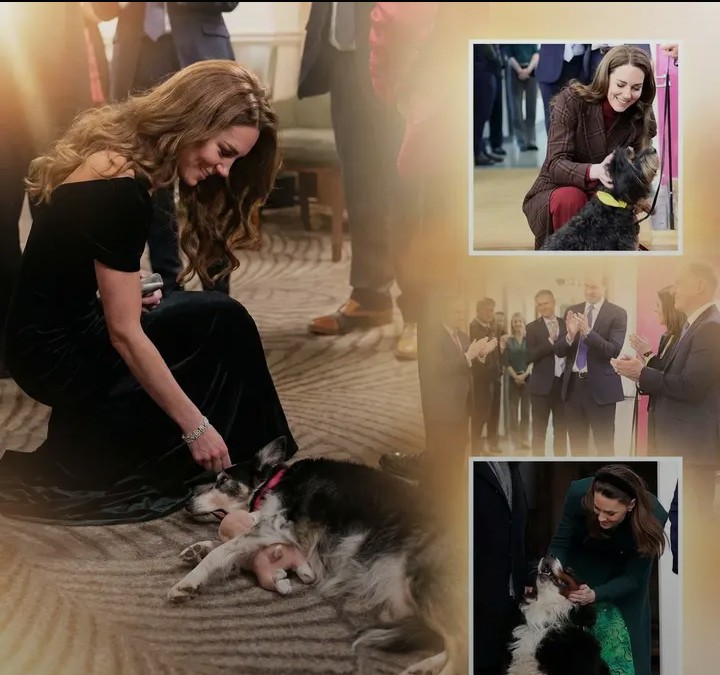 Screenshot_20260126-140401~2