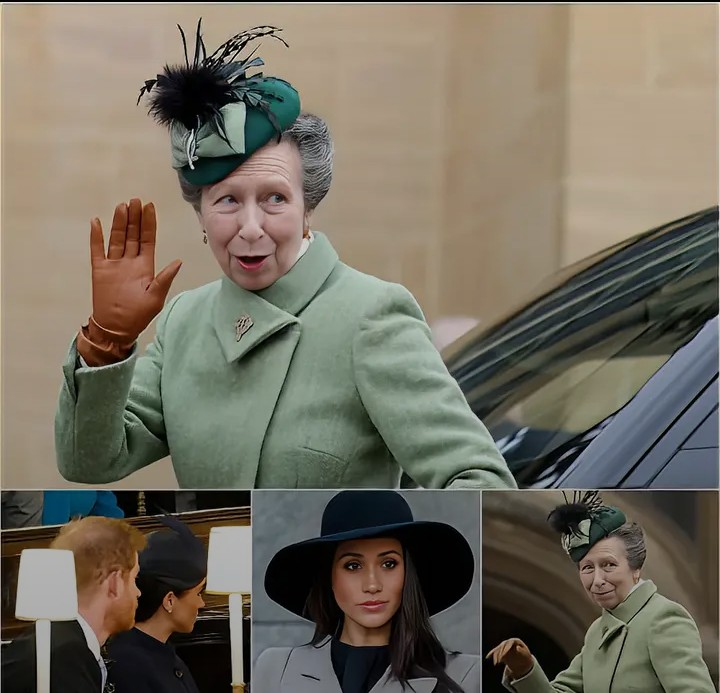 Screenshot_20260129-073724~2