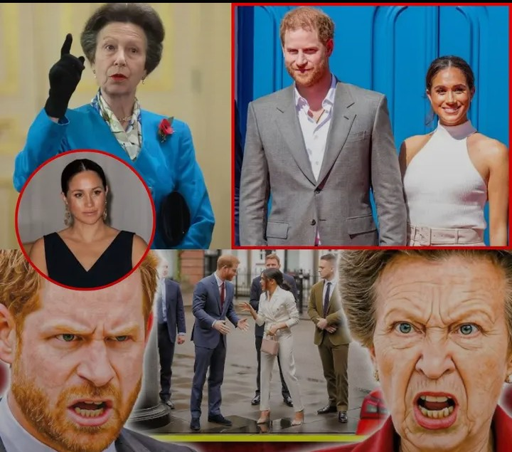 Screenshot_20260129-181325~2