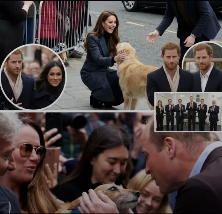 Screenshot_20260130-065753~2