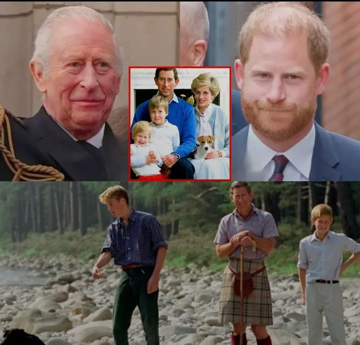 Screenshot_20260130-095026~2