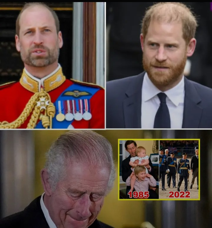 Screenshot_20260131-103643~2