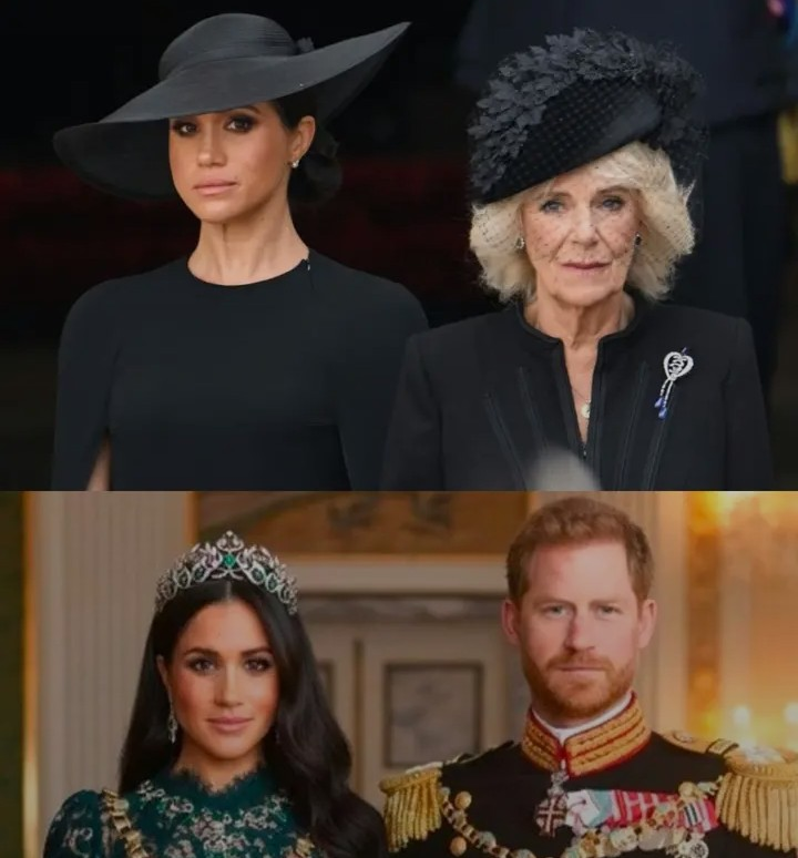 Screenshot_20260131-103938~2