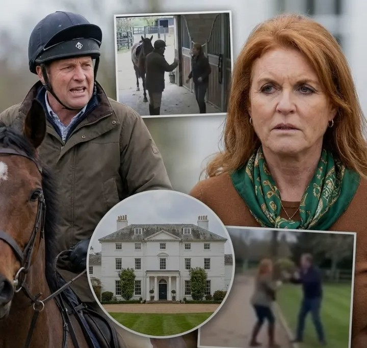 Screenshot_20260131-185813~2