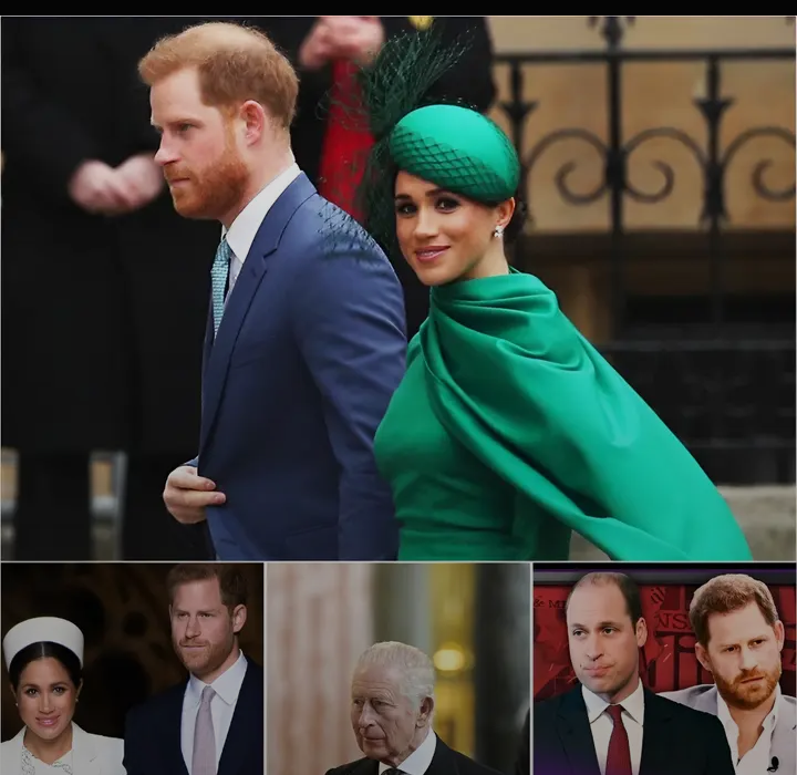 image_editor_output_image-821646978-1768280793473