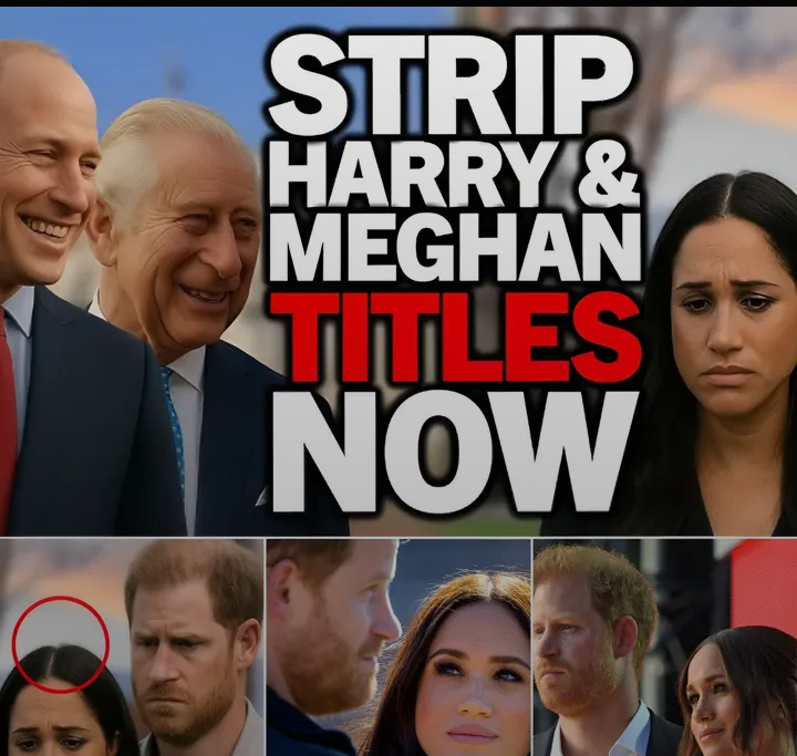 image_editor_output_image803323341-1768489915531