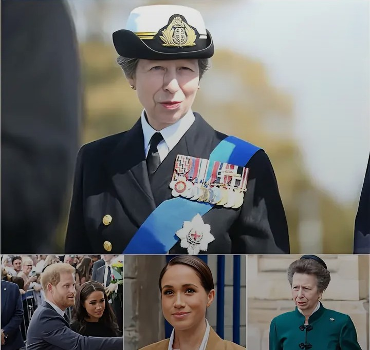 Screenshot_20260201-094504~2