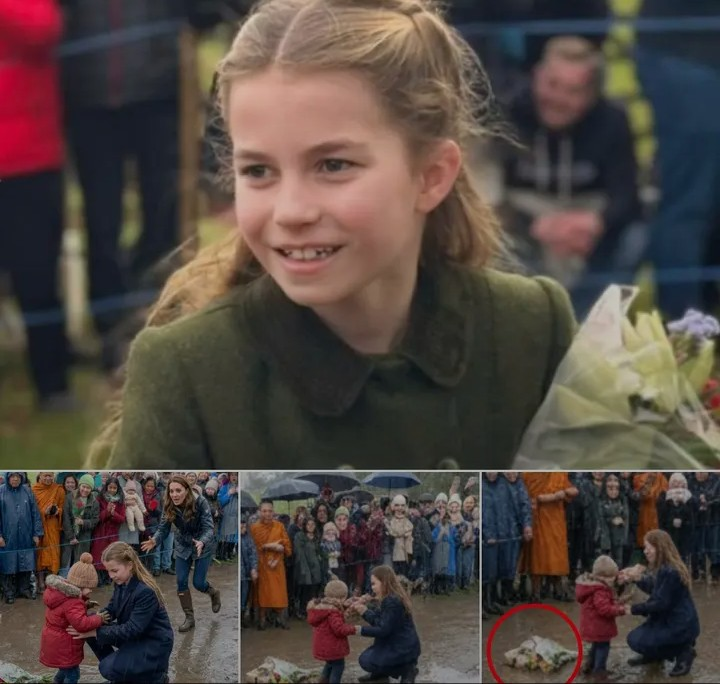 Screenshot_20260202-100424~2