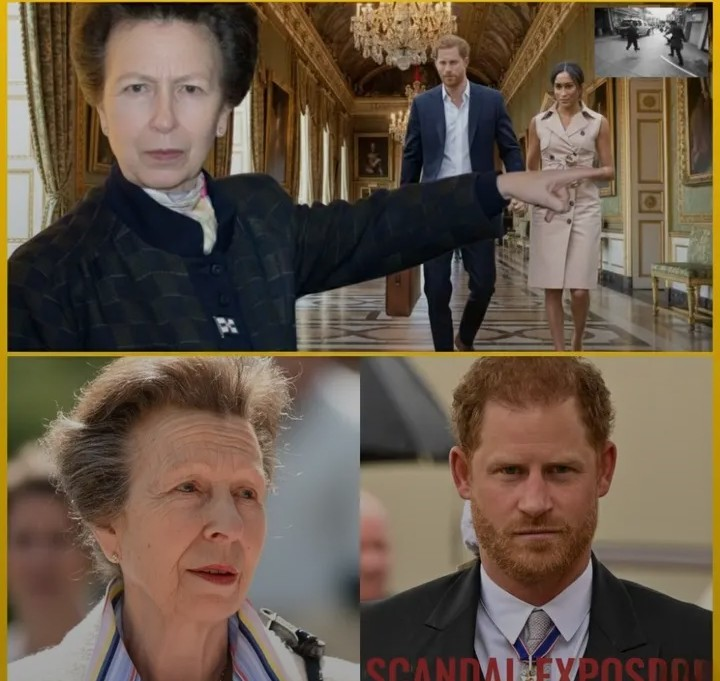 Screenshot_20260203-074643~2