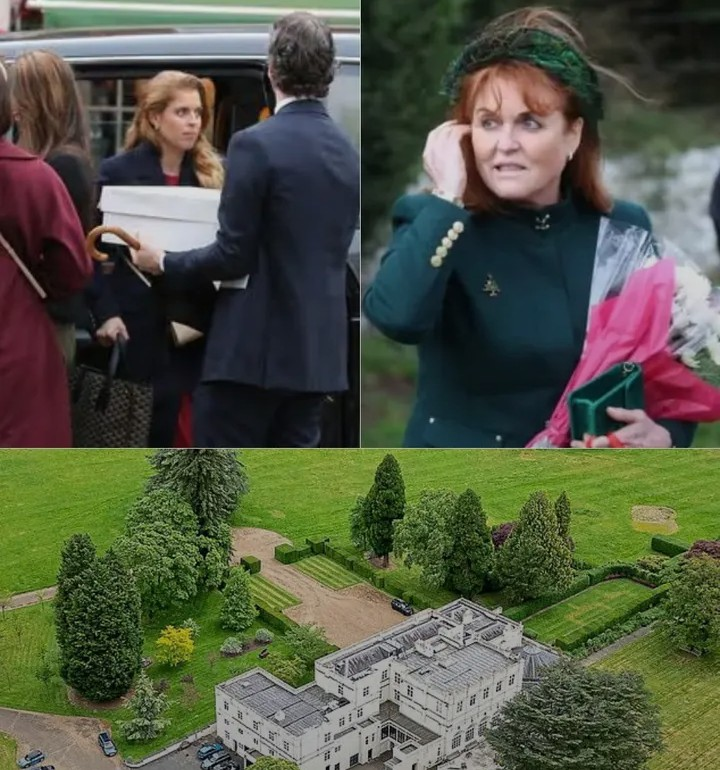 Screenshot_20260203-081234~2