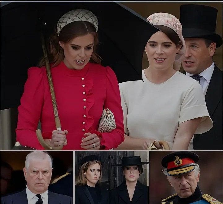 Screenshot_20260203-095517~2