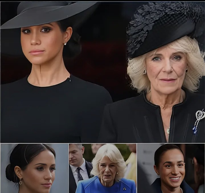 Screenshot_20260203-130519~2