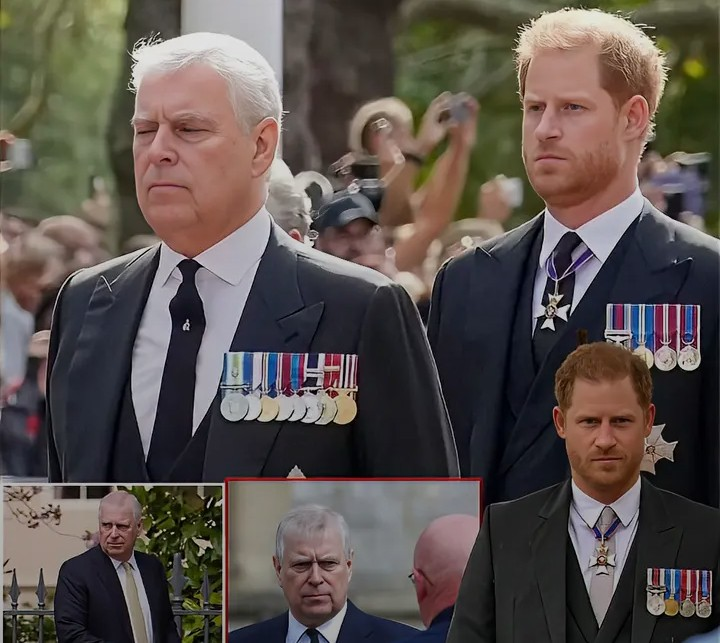 Screenshot_20260203-131129~2