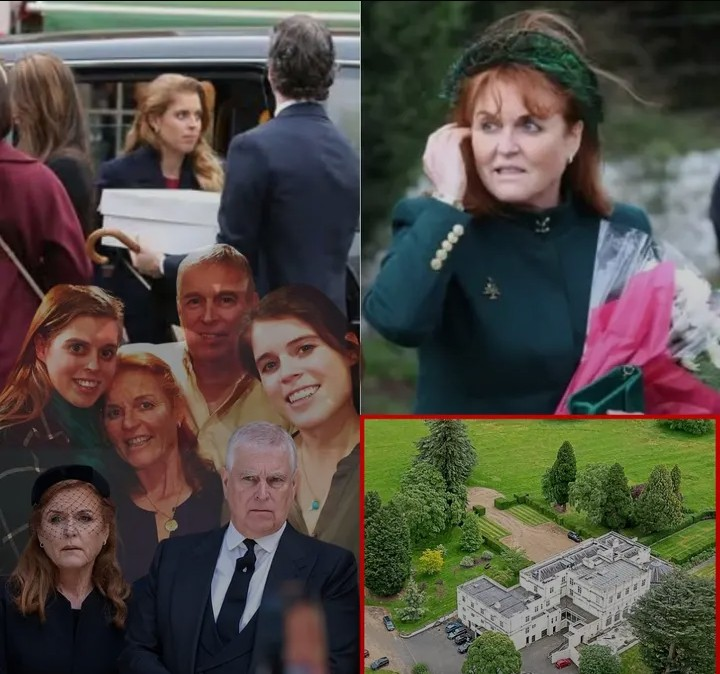 Screenshot_20260203-131430~2