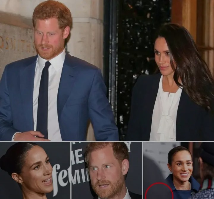 Screenshot_20260203-173228~2