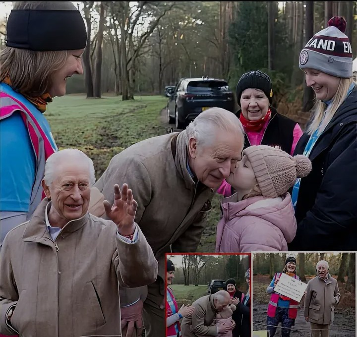 Screenshot_20260204-081348~2