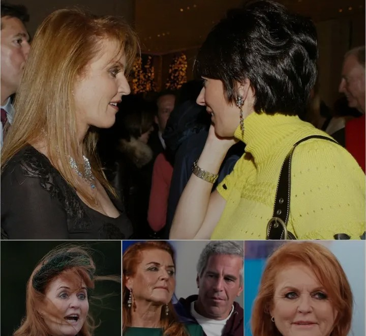 Screenshot_20260204-094351~2